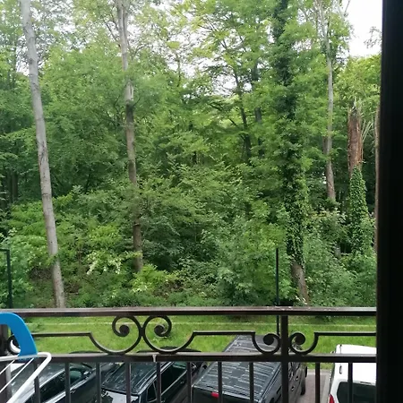 Apartment карпатикайзервальд. *